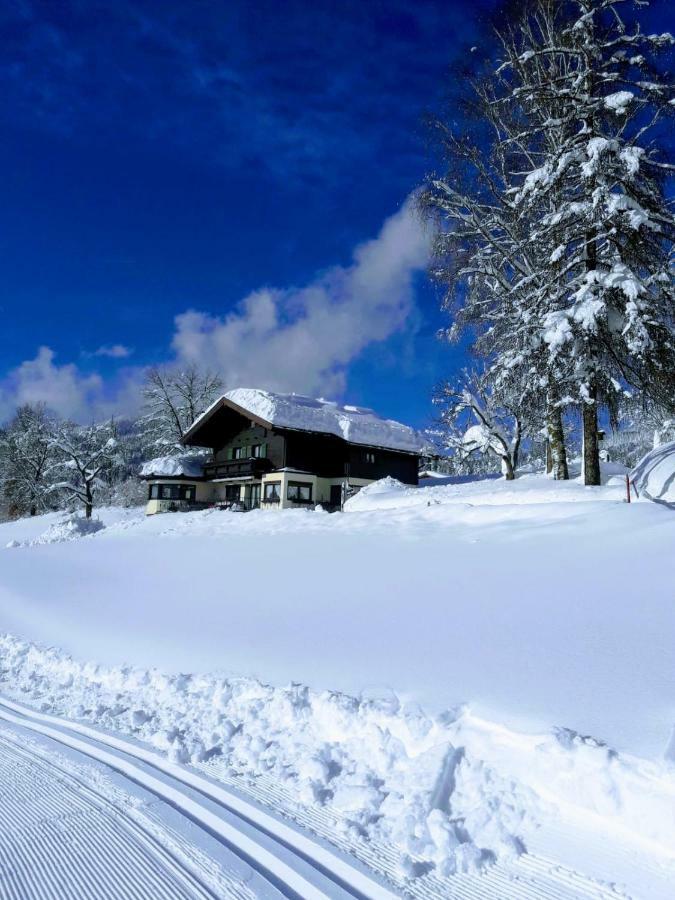 Gastehaus Poll Maria Appartamento Scheffau am Wilden Kaiser Esterno foto